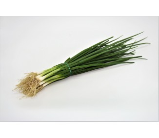 Tsing Chung / Spring Onion