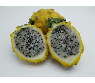 Pitahaya