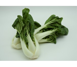 Mini pak choi