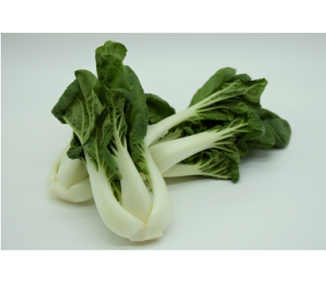 Mini pak choi