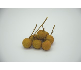 Longan