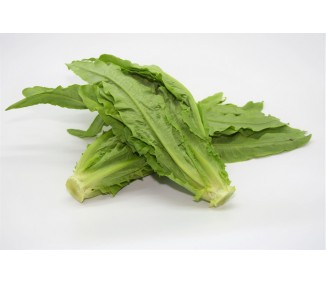 Mak choi